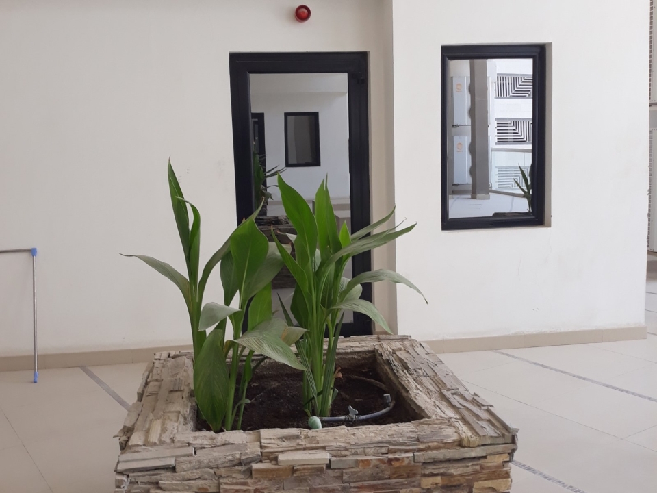 property 205 image 8