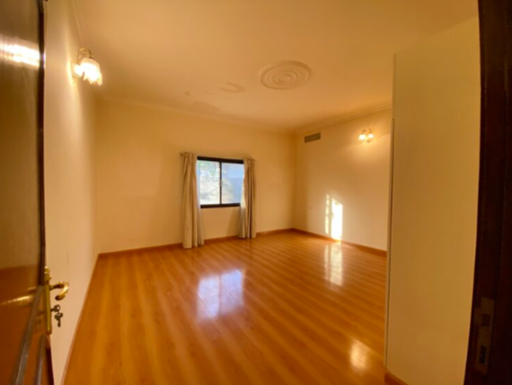 property 241 image 7