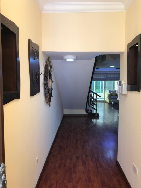 property 295 image 8